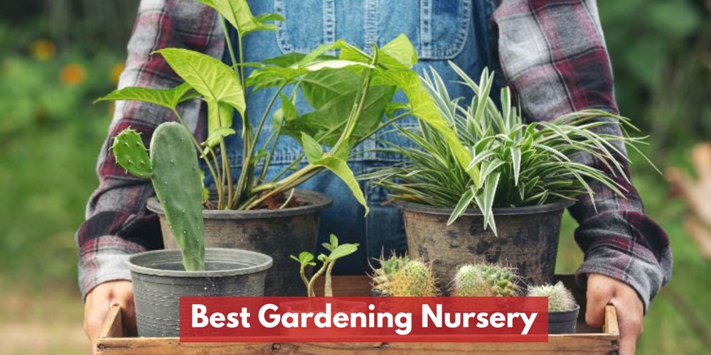 Best Gardening Nursery
